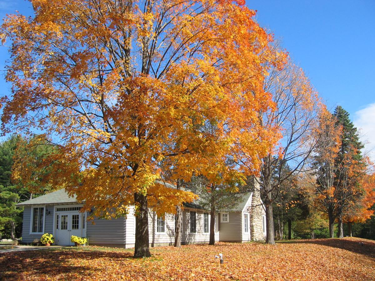 Tuxbury Pond Camping Resort Tiny House Emerson South Hampton Exterior photo
